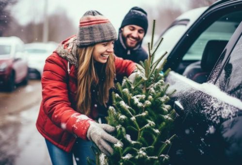 Die besten Tipps rund um den richtigen Weihnachtsbaumtransport