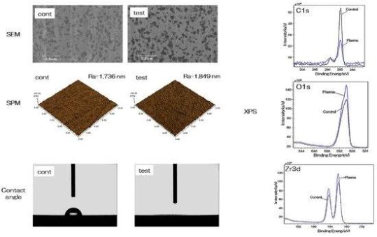 Auswirkungen der Plasmabehandlung auf die Bioaktivität von alkalibehandelten Ceroxid-stabilisiertem Zirkoniumdioxid-/Aluminiumoxid-Nanokompositen (NANOZR)