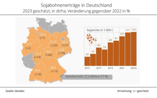 Soja mit überdurchschnittlichen Ernteergebnissen