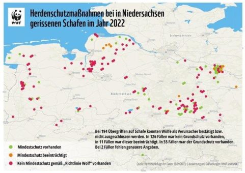 Zahlenfetisch statt Herdenschutz