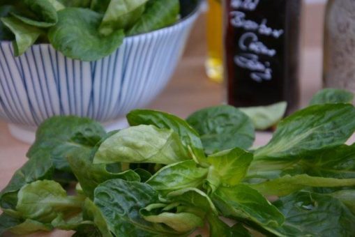 Feldsalat – ein gesunder Wintersalat