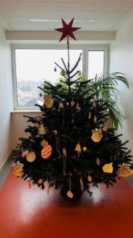 Zur Freude aller: Rund 100 Kinder schmücken Weihnachtsbäume in der Asklepios Harzklinik Goslar
