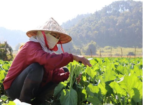 75 Jahre „Allgemeine Erklärung der Menschenrechte“ − ADRA betont das Recht auf Nahrung