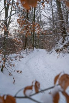Kurzwanderung zum Café Winuwuk