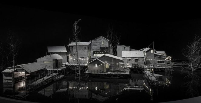 Das Kröller-Müller Museum präsentiert DEN WALD VOR LAUTER BÄUMEN