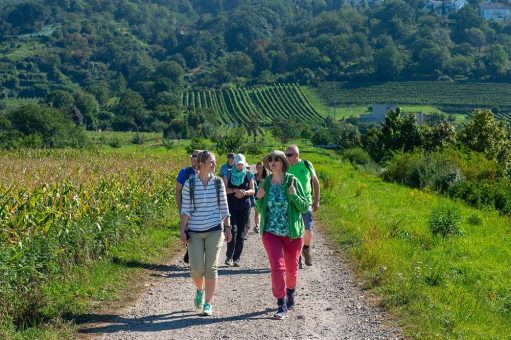 Ausflugstipps in Hülle und Fülle: Geo-Naturpark veröffentlicht Veranstaltungsprogramm 2024