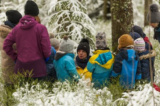 Zwischen Kindergarten, Wald und Wildnis – Erzieherin oder Erzieher im Anerkennungsjahr gesucht