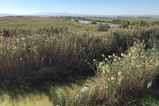 Wassermanagement im Mittelmeerraum