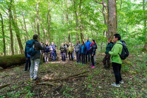 WaldResort – Am Nationalpark Hainich bei der Thüringen Ausstellung