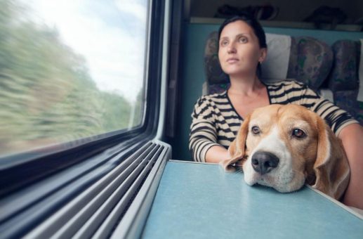 Urlaub mit Wau-Effekt: Unterwegs mit dem Hund