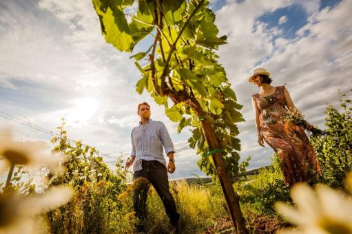 Der Varta-Führer zeichnet 14 renommierte Weingüter im Burgenland aus