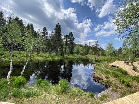 Deutschlands schönste Wanderwege – gleich drei Allgäuer Routen sind nominiert