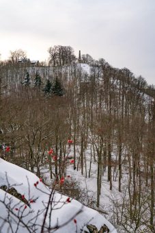 Jenseits der Breitenberge