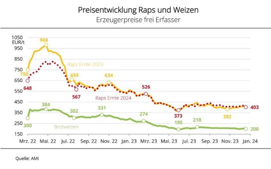 Keine Erholung bei Rapspreisen zum Jahreswechsel