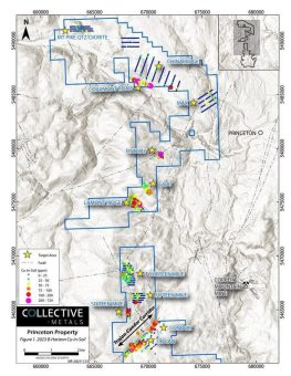 Collective Metals gibt Ergebnisse des geochemischen Phase-II-Bodenprobenprogramms auf seinem Princeton Projekt bekannt