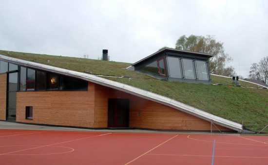 Zurück zur Natur – auf dem Dach