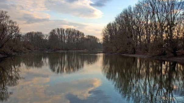 Raus in die Natur – rein in die Resilienz: Erlebniswanderung auf dem Kühkopf für Eltern von Pflegekindern und ehemalige Pflegekinder