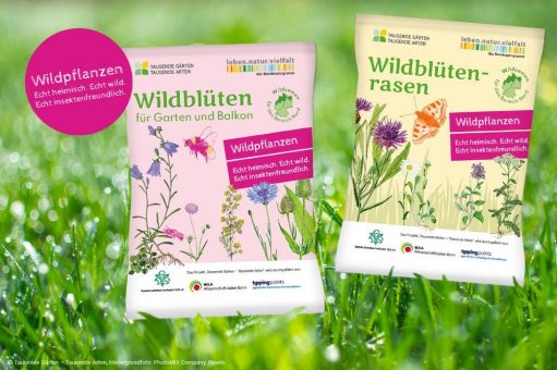 Heimische Wildpflanzen – die neuen Stars im Garten und auf dem Balkon