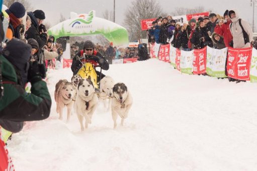 Oberharzer Schlittenhunde Adventure am Samstag, dem 10. Februar und Sonntag,  dem 11. Februar 2024  in Clausthal-Zellerfeld