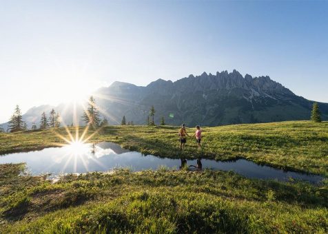 Frühlingserwachen am Hochkönig