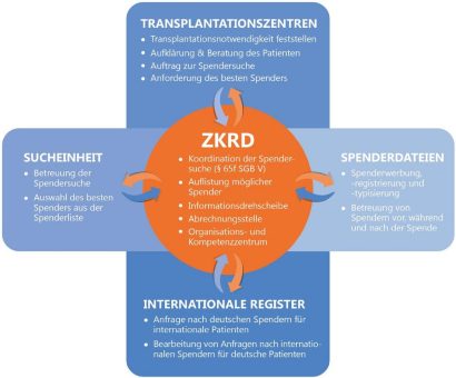 30 Jahre ZKRD: Gemeinsam schwerkranken Menschen eine Chance auf Leben geben