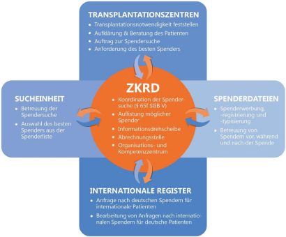 30 Jahre ZKRD: Gemeinsam schwerkranken Menschen eine Chance auf Leben geben