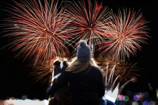 Haustiere bleiben von Silvesterkrach verschont