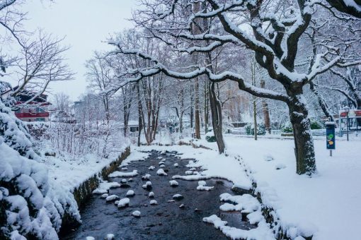 Wanderung durchs Riefenbachtal