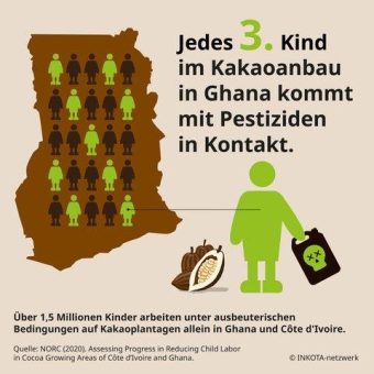 INKOTA kritisiert Einsatz verbotener Pestizide im Kakaoanbau