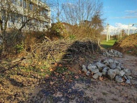 Umweltschutz in der Umspannanlage Niederhöchstadt: Syna schafft Mikrohabitat für mehr Biodiversität