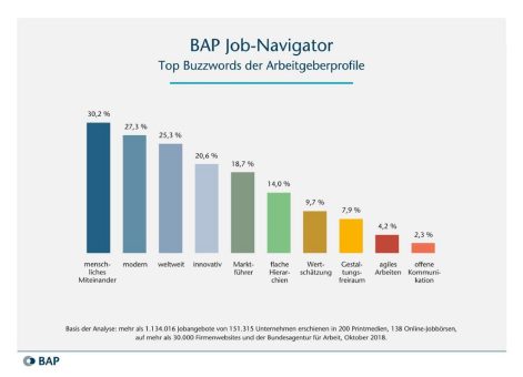 BAP Job-Navigator 11/2018: »Arbeitgeberdarstellung«