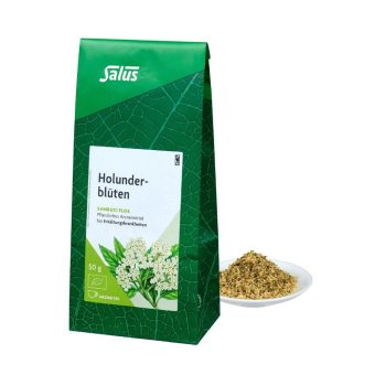 Schwarzer Holunder – Heilpflanze des Jahres 2024