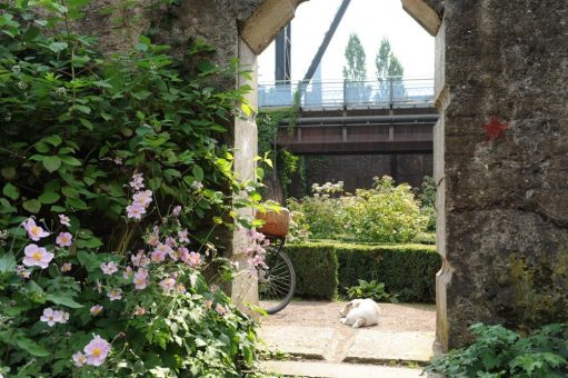 Der Landschaftspark ist jetzt Gartendenkmal!