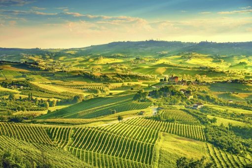 Cinque Terre & Piemont: Kulinarische Hochgenüsse in Norditalien