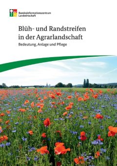 Neue BZL-Broschüre: „Blüh- und Randstreifen in der Agrarlandschaft – Bedeutung, Anlage und Pflege“