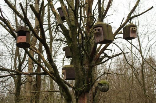 Ein Unterschlupf für Gartenvögel