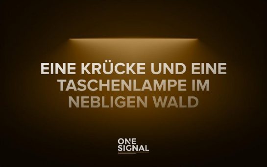 Eine Krücke und eine Taschenlampe im nebligen Wald