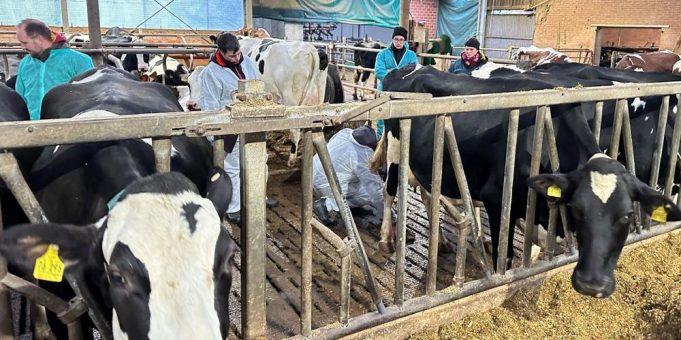 Fütterungskontrolle im Milchviehstall: AVA-Seminar gemeinsam für Tierärzte + Landwirte