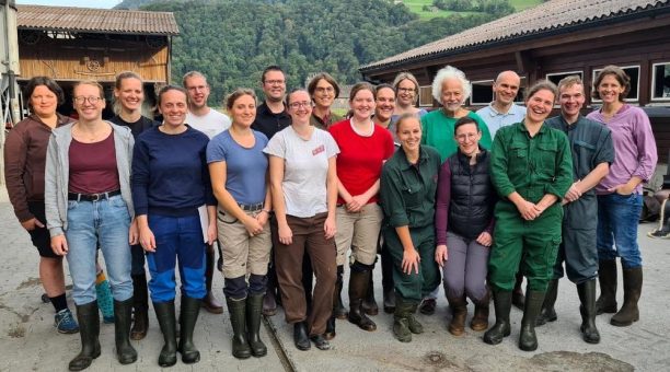 AVA-Rinder-Spezialworkshop für Tierärzt:innen in der Schweiz in Filzbach- ein großer Erfolg