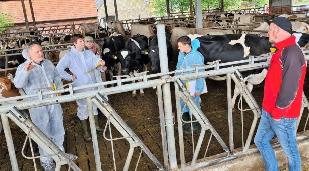 AVA- Fütterungscontrolling-Workshop im Milchkuhbetrieb für Tierärzte und Landwirte