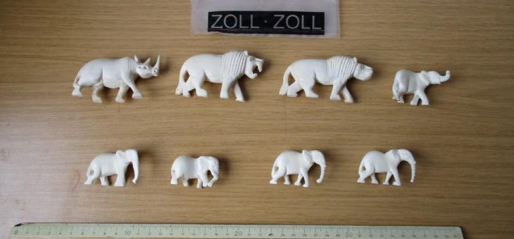 Korallen, Elfenbeinfiguren, Schlangen- und Krokodilleder