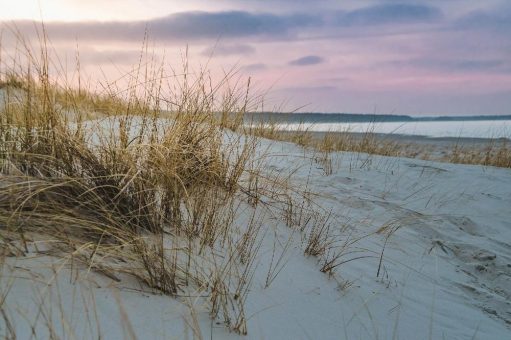 Carpe Aestatem – Mit dem HDT den Sommer optimal nutzen