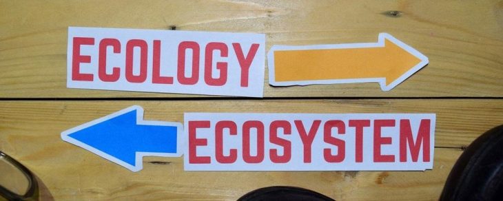 Live Cycle Assessment (LCA) und Kunststoffe…haben Sie wirklich an alles gedacht?
