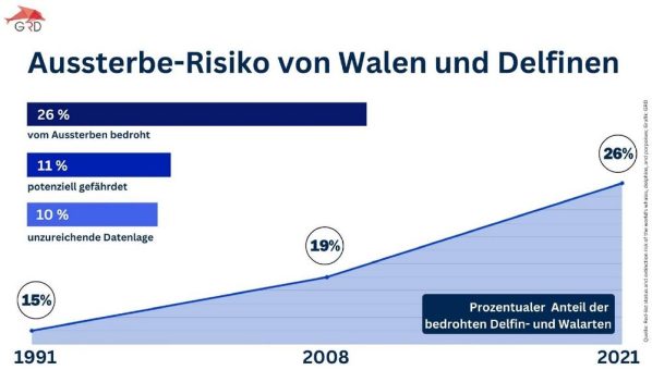 Jede vierte Wal- und Delfinart vom Aussterben bedroht