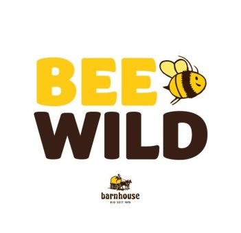 BEE WILD 2024: Barnhouse sucht 50 engagierte Wildbienen-Hoteliers