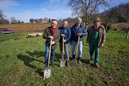 Schafe im Weinberg – Neue Wege im Landschaftsmanagement