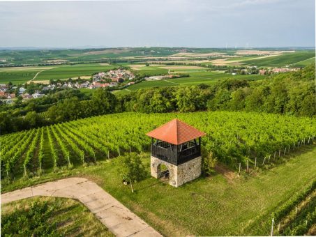 Auf Nummer sicher gehen: Mit dem Wohnmobil zum Weinerlebnis nach Rheinhessen