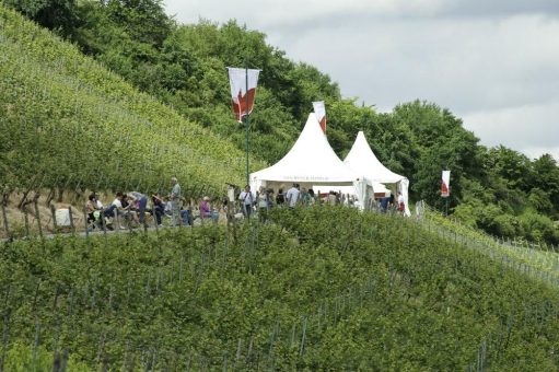 Rheinhessen: Im Frühling beginnt die Weinfest-Saison