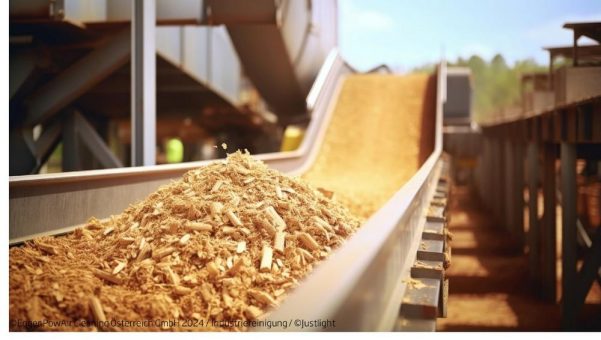 Biomasseheizkraftwerke müssen nach Stand der Technik gereinigt werden um alle Abluftgrenzwerte einzuhalten