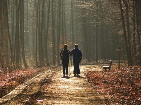 Wanderung zu den Gestütswiesen und zum Wildgehege